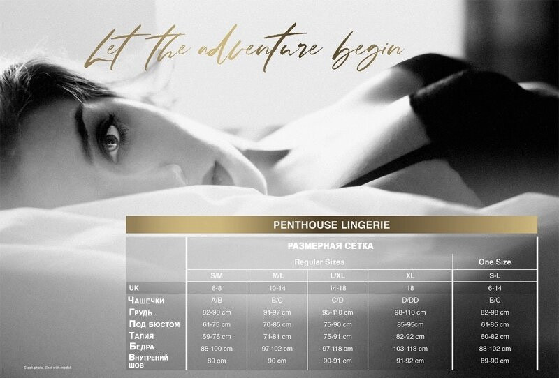Мини-платье Penthouse Lingerie Above & Beyond, черный, S/L  4005515 - Penthouse Lingerie - Эротические платья - Купить