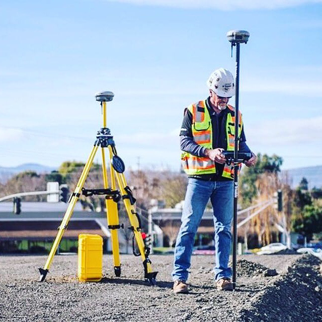 Жук Топограф Фото — Mixyfotos.ru