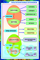 Б.13 Плакаты Введение в экологию