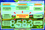 Б.13 Плакаты Введение в экологию, фото 8