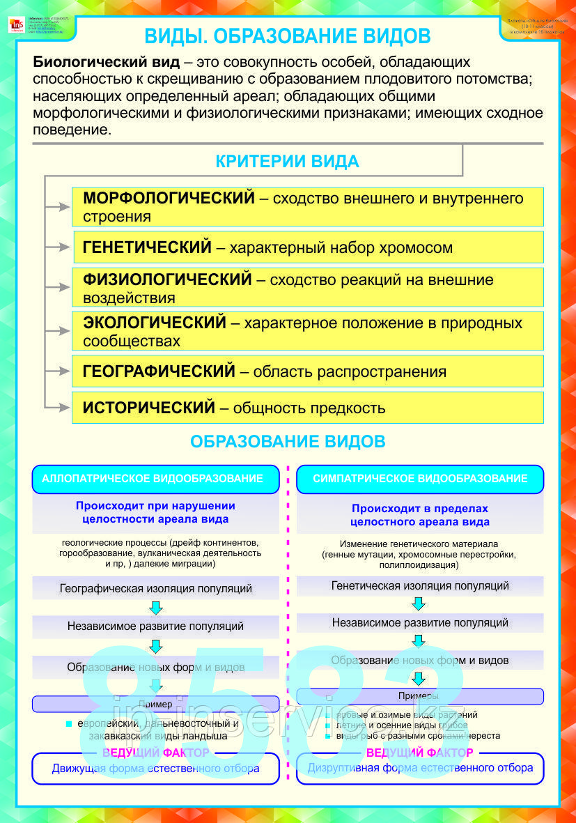 Плакаты Эволюционное учение