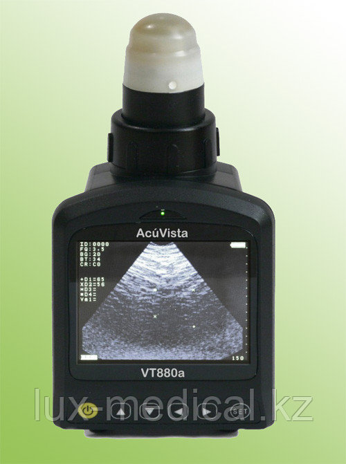 Ветеринарный УЗИ сканер AcuVista VT880A  