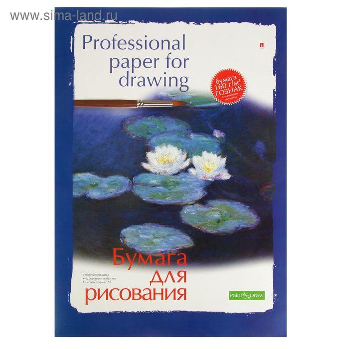 Папка для рисунков А2, 8 листов "Профессиональная"