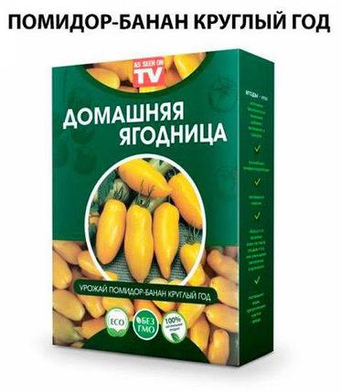 Чудо-набор для выращивания овощей и зелени дома «Сказочный огород круглый год» без ГМО (Помидор-Банан), фото 2