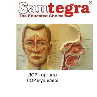 ЛОР органы