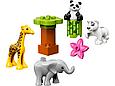 10904 Lego Duplo Детишки животных, Лего Дупло, фото 3