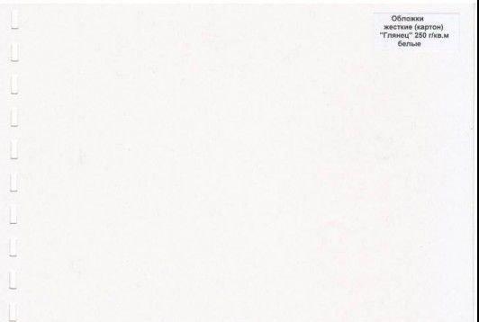 Обложки картон глянец iBind А4/100/250г белые - фото 1 - id-p63802057