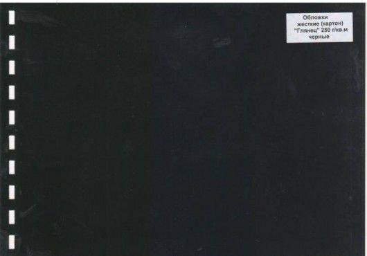 Обложки картон глянец iBind А4/100/250г черные, фото 2