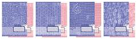 Тетр 12л скр А5 кл карт 5933/4-EAC "Фактура" розовая, голубая (2 кр)
