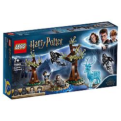 75945 Lego Harry Potter Экспекто Патронум!, Лего Гарри Поттер