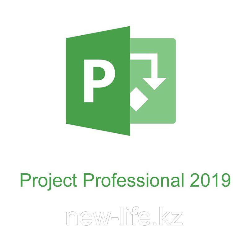 Microsoft Project 2019 Professional, ESD, 1PC