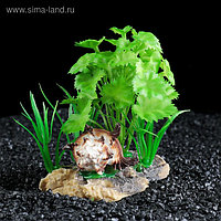 Островок с ракушкой и растениями искусственными для аквариума, 15 х 10 х 10 см