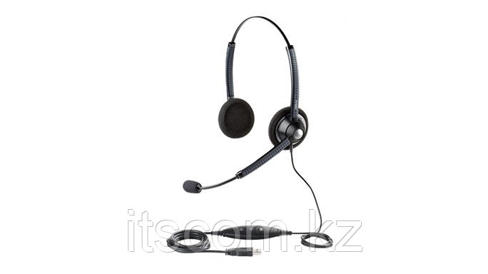 Проводная гарнитура Jabra BIZ 1900 Duo USB (1989-829-104)