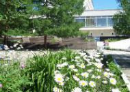 Боровое, Cанаторий "Щучинский" от 19000 тг 2025