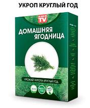 Комплект чудо-грядок для выращивания овощей и зелени «Домашний салат круглый год», фото 2