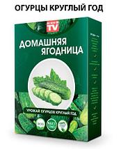 Комплект чудо-грядок для выращивания овощей и зелени «Домашний салат круглый год», фото 5