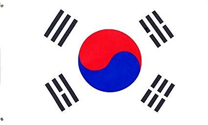 Государственный флаг Южной Кореи - фото 1 - id-p64133120