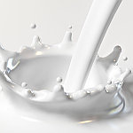 Влияние доильного оборудования на качество молока