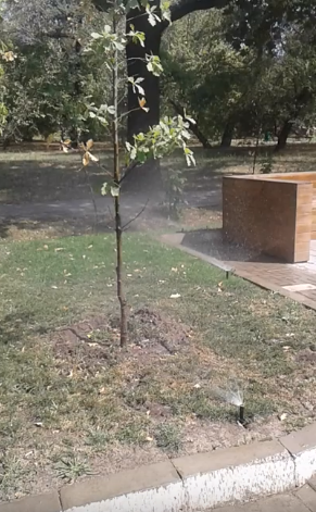 Система автоматического полива в парке в Алматы -1