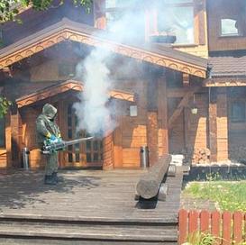 Фумигация древесины