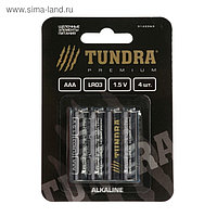 Батарейка алкалиновая TUNDRA, AAA ,LR3, блистер, 4 шт.