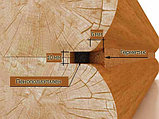 Герметик по дереву Акцент - 136, фото 7
