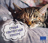 Новый конкурс в ИНСТАГРАМ для жителей Караганды и области!