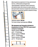 Раздвижная лестница TOPIC 1035, фото 2
