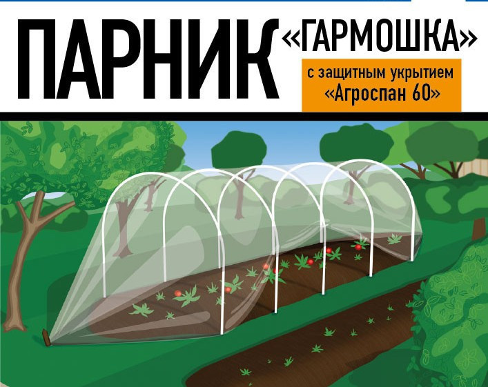 Парник "Гармошка" 8 метров