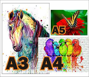 Распечатка А3 , А4, А5 формата