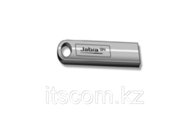 Аксессуар Jabra Noise Guide USB stick (14207-46)