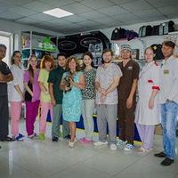 Ветеринария