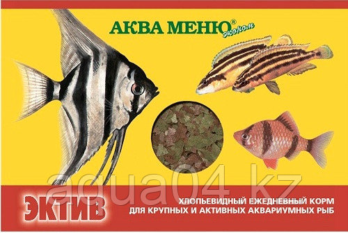 ЭКТИВ 