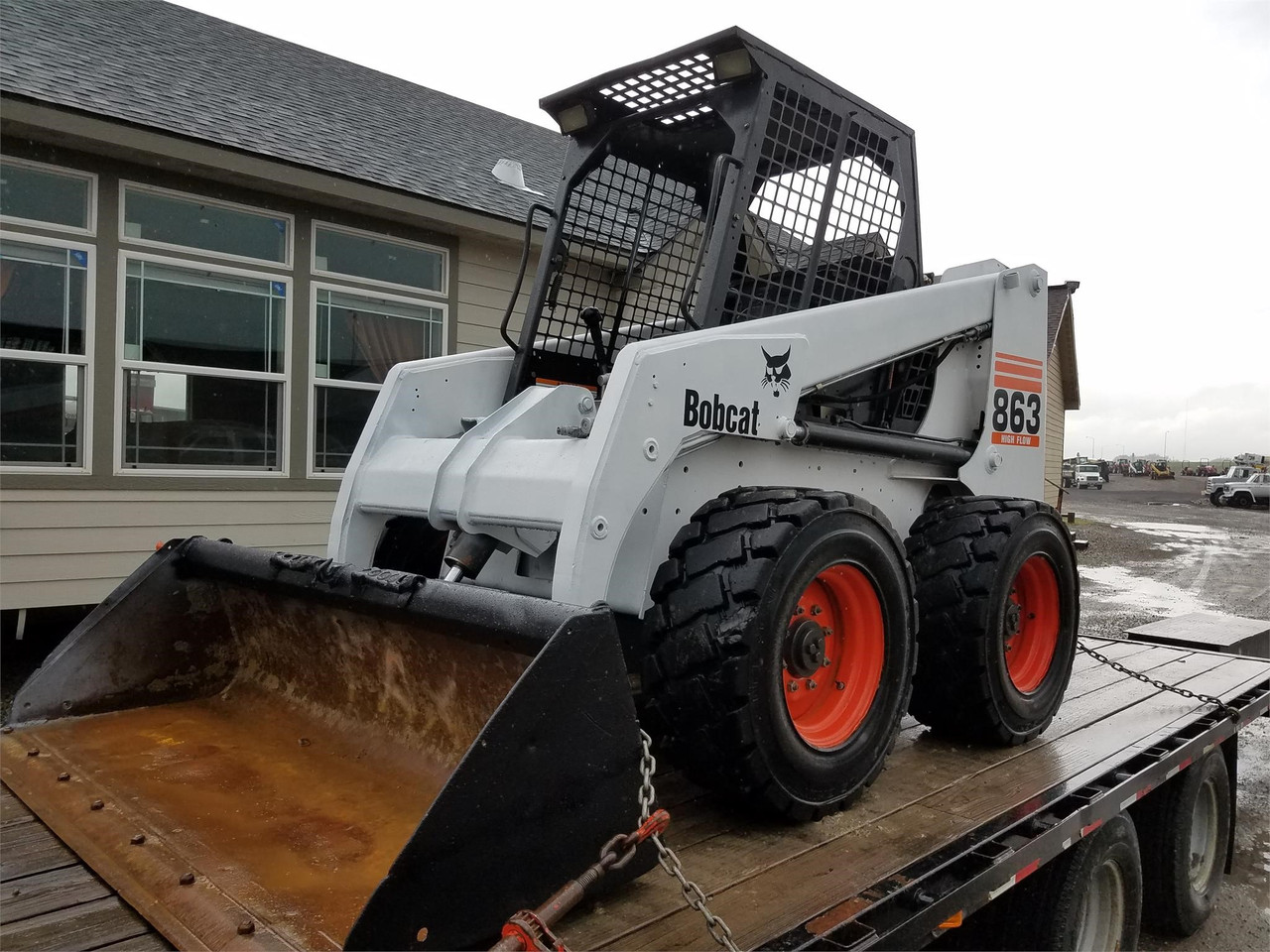 Bobcat