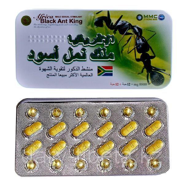 Africa Black Ant King-Африканский черный муравей Королевский: продажа ...
