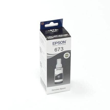 Чернила Epson T6731 Black, фото 2