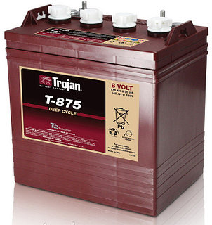 Тяговый аккумулятор Trojan T-875 (8В, 170Ач), фото 2