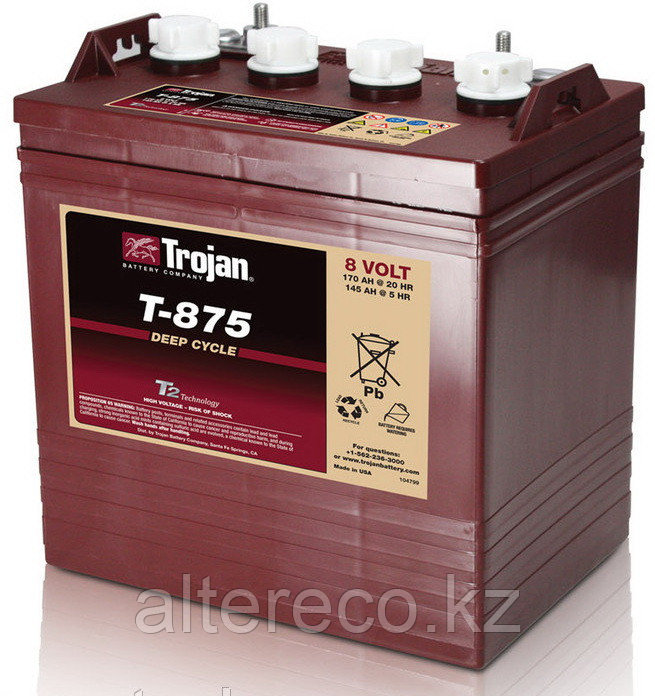 Тяговый аккумулятор Trojan T-875 (8В, 170Ач) - фото 1 - id-p37243444