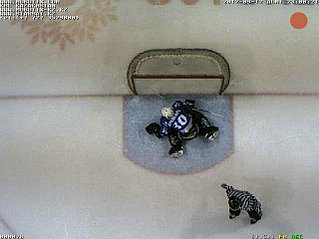 Фиксация гола сверху. Установлена камера M24D-Sec