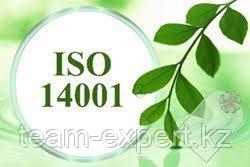 Семинар-тренинг Интегрированные системы менеджмента ISO 14001:2015, ISO 45001:2018 Внутренний аудит