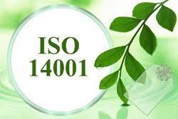 Семинар-тренинг Интегрированные системы менеджмента ISO 14001:2015, ISO 45001:2018 Внутренний аудит