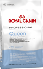 Royal Canin Queen сухой корм для беременных и кормящих кошек