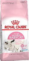 Сухой корм для котят от 1-го до 4-х месяцев и беременных кошек Royal Canin Mother & Babycat RC103 0,4 кг Сухой корм для котят от 1-го до 4-х месяцев и беременных кошек Royal Canin Mother & Babycat