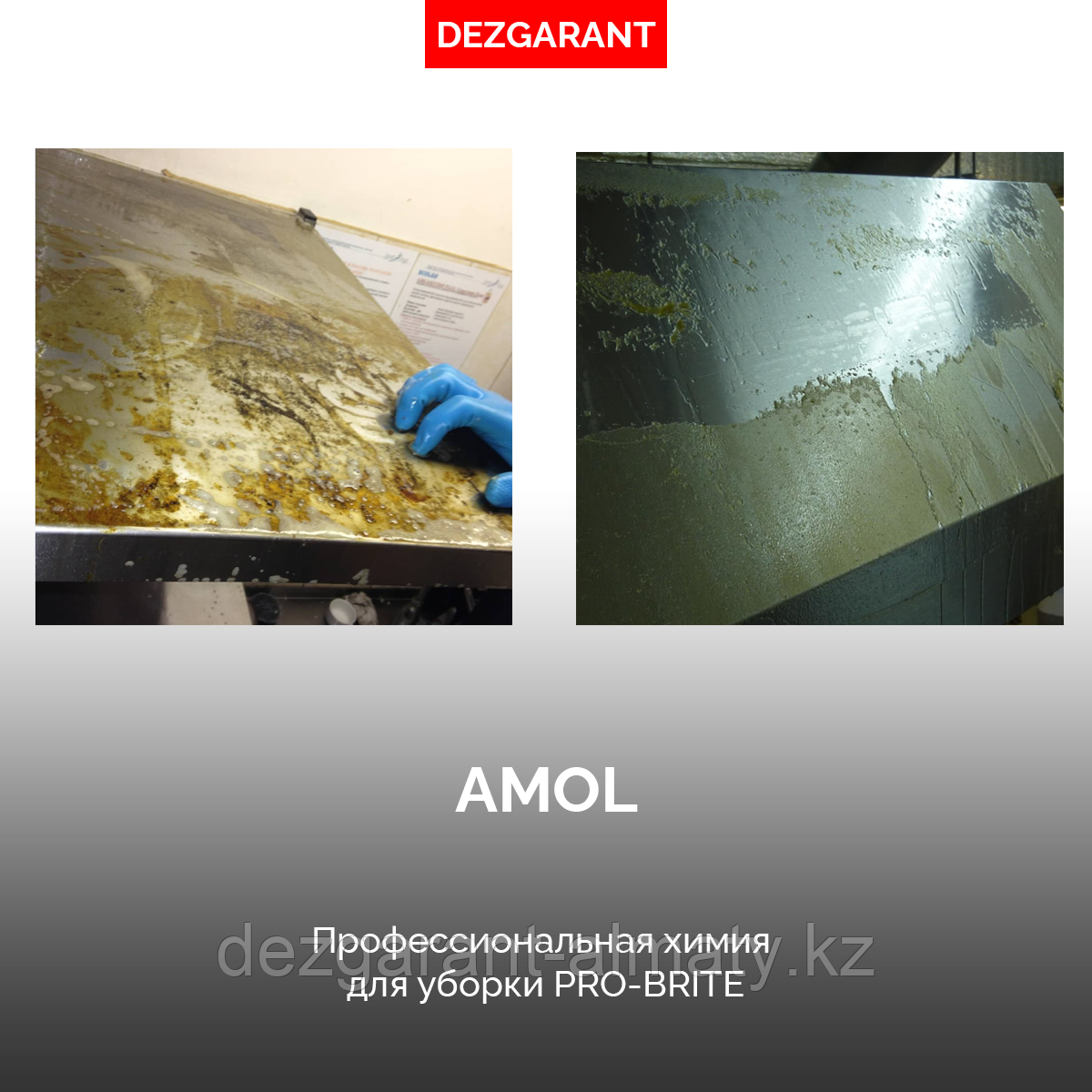 Amol ас үй плиталарын тазалауға арналған құрал (5 л) - фото 6 - id-p55455028
