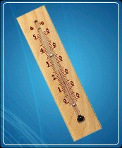 Термометр бытовой сувенирный Д-3, исп.2 (0...+50) ц.д.1, основание-дерево, 196х48мм