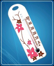 Термометр бытовой сувенирный П-15 (0...+50) ц.д.1, основание-пластмасса, 150х60мм