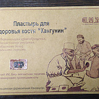 Пластырь Кангунин (8 шт в уп ревматический )