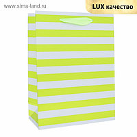 Пакет ламинированный "Зелёные полоски", люкс, 18 х 8,5 х 24 см