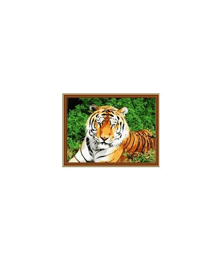 Картины по номерам Тигр на траве 40*50 см - фото 1 - id-p65214201
