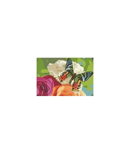 Картины по номерам Бабочка на цветах 40*50 см - фото 1 - id-p65214204